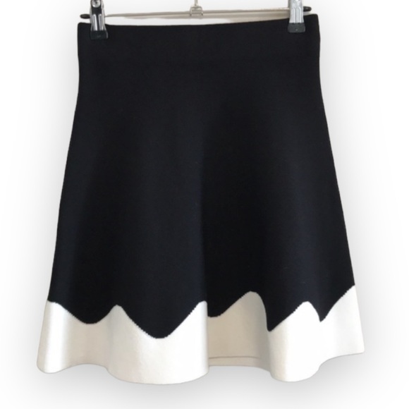 Zara Skirts Zara Swing Skirt Black White Size Xs Nwt Poshmark